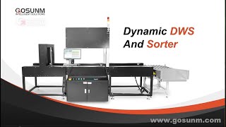 How do dws machines and sorting lines work [upl. by Iew936]