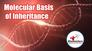 Molecular Basis of Inheritance l Lecture 15 l Biology l NEET [upl. by Atsylak601]