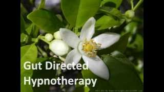 Gut Directed Hypnotherapy [upl. by Cortney864]