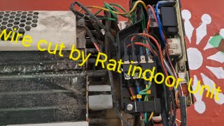 Wire Cut By Rat Indoor Unit [upl. by Gasperoni312]