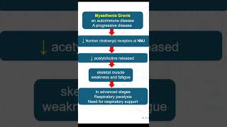 Myasthenia Gravis [upl. by Schram]