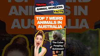 Fascinating Facts About Wombats animalwonders [upl. by Alyakam912]