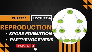 spore Formation amp parthenogenesis lecture4 reproduction class10 biology [upl. by Areemas451]