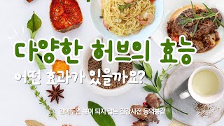 허브 종류별 효능과 맛있는 요리 레시피 알려드릴게요 [upl. by Siraval]