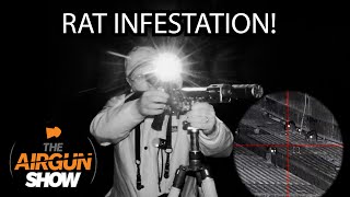 The Airgun Show  Rat Infestation Night Shooting  HampN Baracuda 8 Pellet Review [upl. by Suidualc]