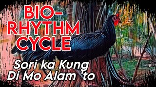 BIORHYTHM CYCLE  PAG ALAM NILA TO KABAHAN KA NA [upl. by Tterb80]