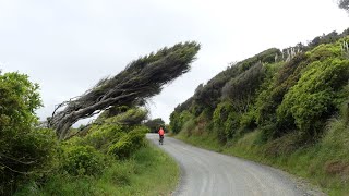 Raglan Harbour Loop [upl. by Jahdal]