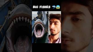 Big Fishes🦈😱 duet shortsfeed fish shark sharks sea ocean fishing dangerous horror shorts [upl. by Routh556]