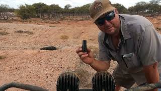 Awesome Hunting The Most Destructive Pest In AUSTRALIA Pig hunting in a Yamaha Viking [upl. by Tris]