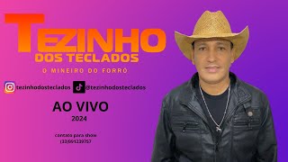 TEZINHO DOS TECLADOS AO VIVO 2024 [upl. by Haela]