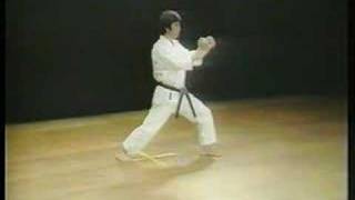 Jion  Shotokan Karate [upl. by Fillbert]