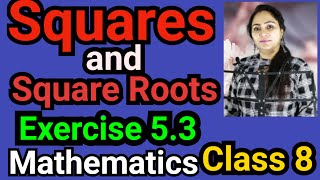 Class 8 Mathematics Exercise 53 Squares and Square Roots [upl. by Atenaz174]