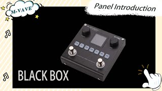 MVAVE Blackbox Panel Introduction [upl. by Eralcyram]