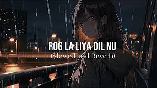 Rog La Liya Dil Nu lofi Slowed and Reverb [upl. by Graham]