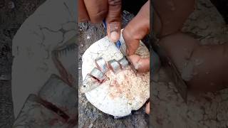 Expert Idea of Catching Fishes in Handline Fishing Technique fishing fishingvideo seafishing [upl. by Shue500]