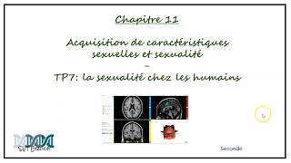 SVTErlich Seconde  Chapitre 11  TP7 La sexualité chez les humains [upl. by Ahsik]