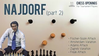 The Najdorf part 2 ⎸Sicilian Defense Theory [upl. by Yllom]