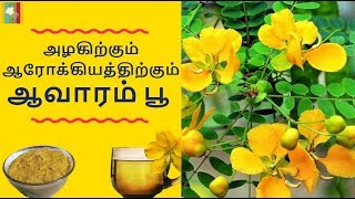 Avarampoo Benefits in Tamil  ஆவாரம்பூ நன்மைகள் [upl. by Damek778]