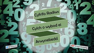 174 RhC Cyfrifo Radiws Cylch o wybod ei Arwynebedd [upl. by Emilia871]