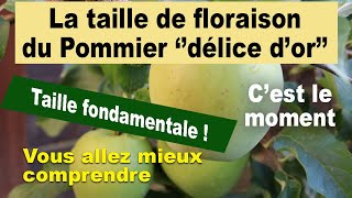 Ne manquez pas lévénement annuel la taille de floraison dun pommier une tradition oubliée [upl. by Ahcsim632]