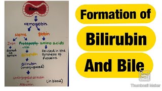 Formation of Bilirubin Bile and its functions [upl. by Leonardi534]