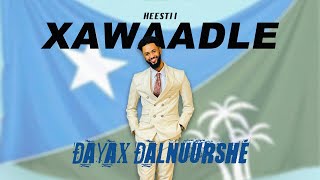 DAYAX DALNUURSHE HEESTA XAWAADLE  OFFICAIL AUDIO 2024 [upl. by Ruthi48]