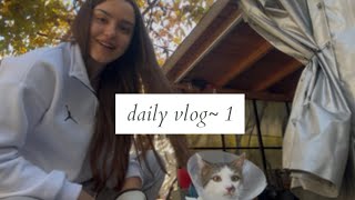 Daily vlog  1  mergem cu Grasu la veterinar [upl. by Chew]