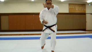 Israel Shotokan Eli Cohen Heian Shodan  Slow [upl. by Airretnahs]