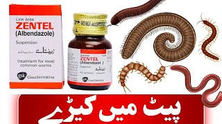 zentel tablet use in urdu  zentel syrup  zentel 400 mg tablet uses in hindi [upl. by Mossberg614]