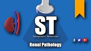 Renal Pathology [upl. by Nawor178]