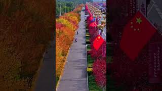 The streets of Ordos are picturesque AutumnInOrdos Kangbashi NorthernWings [upl. by Cletus]