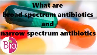 What are broad and narrow spectrum antibiotics by Simply The Best BIO [upl. by Naivat]