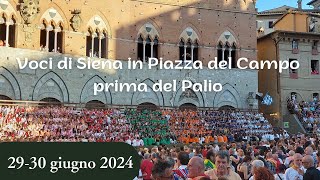 【Siena Palio 2024】29 giugno assegnazione  30 giugno la Terza Prova [upl. by Ertha]