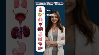 Learn ALL Human Body Organs in English Organs Vocabulary Lesson vocabulary englishlanguage [upl. by Tamberg]