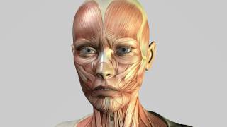 Lilith Virtual Patient Face Muscles [upl. by Eneres]