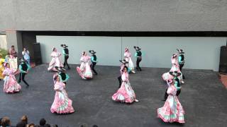 MITOTE FOLKLÓRICO XXV  AGUASCALIENTES  BALLET TONANTZIN [upl. by Yorgos210]