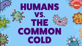 Why is it so hard to cure the common cold [upl. by Rednal]