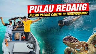 Menyelam dengan Penyu di Taman Laut Pulau Redang [upl. by Bar]