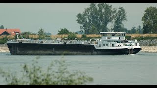 120 Shipspotting Binnenschiffe auf dem Rhein  TMS Moinos aus Wörth am Main bei RiedstadtLeeheim [upl. by Nwahsirhc]