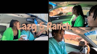 Lazy 5 Ranch  Drive Through Safari  Mini Vlog❤️🦓 [upl. by Irfan]