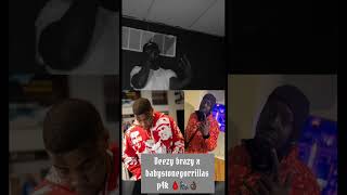 Deezy Brazy Previews Song With P4K Of Baby Stone Gorillas🦍LA explore fyp minnesota hiphop fy [upl. by Alleciram]