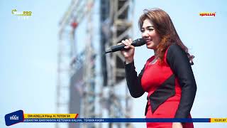 FATAMORGANA LUSYANA JELITA OM ADELLA LIVE TANGERANG [upl. by Annaiv492]