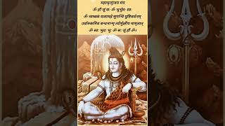 महामृत्युंजय मंत्र Maha Mrityunjay mantra mirtunjay mahamirtunjay mahamirtunjaymantra mahadev [upl. by Isewk]