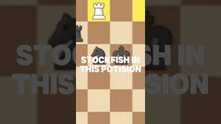 Stockfish VS Mittens edit Credits to GothamChess for the clip edit chess fyp shorts [upl. by Abbi154]