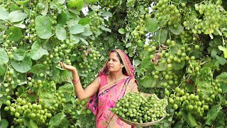 गांव की लसोड़े की स्वादिष्ट सब्जी  Gunda Sabji Recipe  Lasoda ki Sabji [upl. by Ellehcirt]