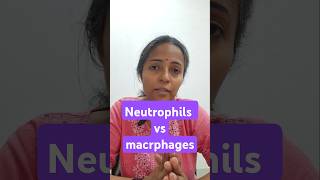 phagocytosis physiology class mbbs1styear physiologyvideos physiologylectures [upl. by Dnalhsa]