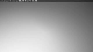 LiveWebcam Storchennest Zusmarshausen [upl. by Arramat]