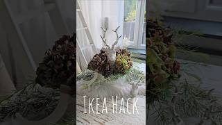 IKEA HACK Herbstdeko  DIY für den Herbst  Herbstdekoration🍂 [upl. by Ydnor]