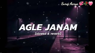 Agle janam milna Hoga  Lofi Mix Song Slowed Reverb Mind Relaxing Song 💞❤️ Love Mashup lofi Music [upl. by Ute381]