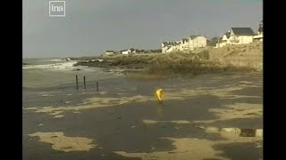 Erika  Arrivée de la marée noire sur les côtes de LoireAtlantique INA  26121999 [upl. by Press]